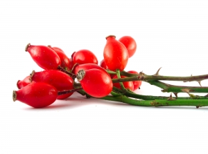 red-hips red-hips